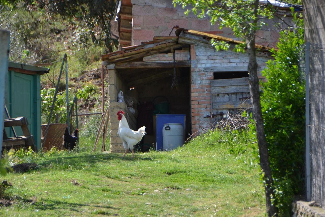 Affittacamere La Fornace Rigomagno Exterior foto